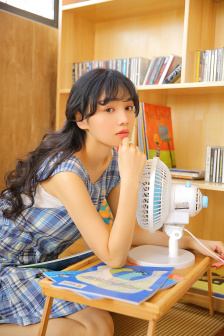 三剑侠与飞机妹